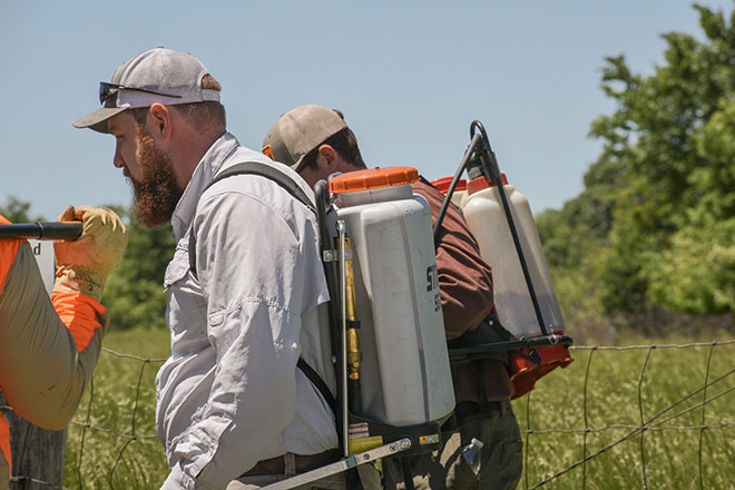 DIY Tips for Knocking Back Woody Invasives
