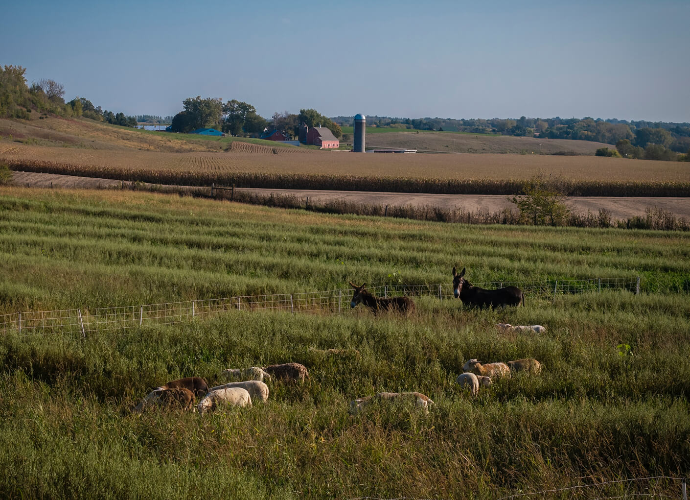 habitat-conservation-wlfw-stacked-content-item.jpg