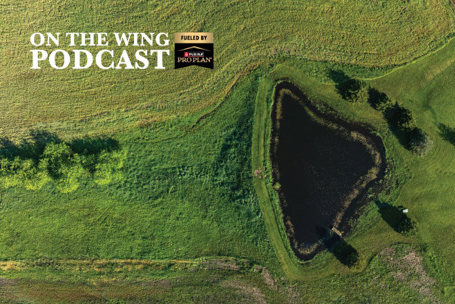PODCAST EP. 361: Habitat University, Creating Upland Habitat from the Ground Up